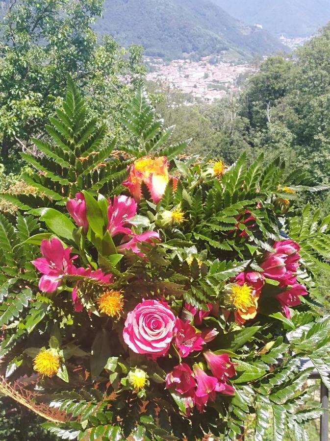 Miane Bed And Breakfast Isabella المظهر الخارجي الصورة